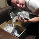 Image for article titled The Construction of the LEGO Millennium Falcon Part I: the Unboxing and the Licking